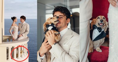 Charles Leclerc's darling dachshund 'Leo Leclerc' steals the show at opulent wedding with Alexandra Saint-Mleux: 'He was an honorary groomsman'
