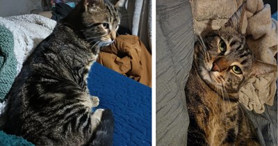 Homeless man finds dumpster cat down on his luck, adopts him despite being in a rough place because he knows how it feels to be abandoned, they find a cozy home together