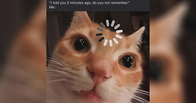 32 Memes Providing 32 Different Opportunities To Laugh