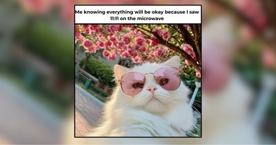 31 Pawsitively Purrfect Cats Practicing Their Purrs and Passions