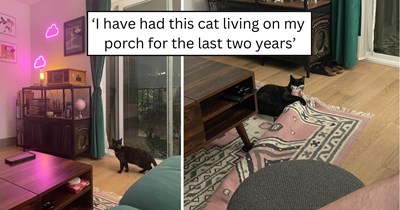 'I know this will be a long journey': After two years of patience and slowly earning the trust of a shy feral on their porch, a couple decides to give her a safe home inside