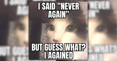 A Pawsitively Purrfect Gaggle of 25 Giggle-Worthy Feline Funnies