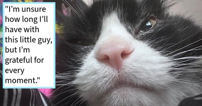 Sick 19 year old dumped cat the shelter had given up on, adopted by shelter volunteer after falling in love with the feline’s sassy meows, new cat mom says: He’s made my life a lot happier, and I feel fulfilled by his presence.’