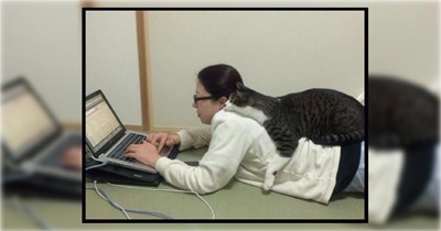 22 Pets Who Have Absolutely No Respect for Personal Space