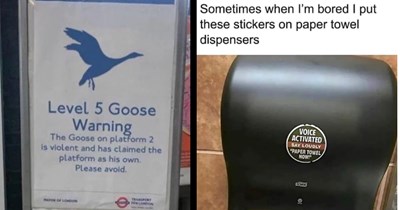 15+ Signs With a Great Story Behind Them