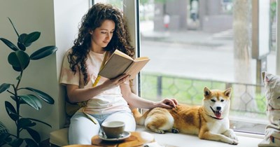 Sibling refuses to give sister the family dog after years of solely taking care of him, despite sister's claims he is legally hers: 'She thinks he's a toy with no feelings'