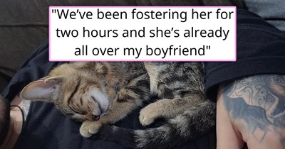 'Foster fail, incoming': Couple brings a kitten to foster, two hours later, she's captured the boyfriend's heart and is holding it in her little paw, and they know that it's game over and they have a new cat