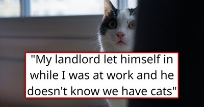 'We've both breached the contract': Landlord illegally enters tenants' apartment when they're not there, the tenants are keeping cats without his knowledge, and they're all stuck in a stalemate because neither can complain