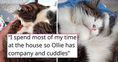 3 sisters decide to keep their late father's house so his elderly 21-year-old cat can live out his retirement days in a familiar place, and the reaction online is so wholesome: 'His Royal Furriness is napping in the sun'