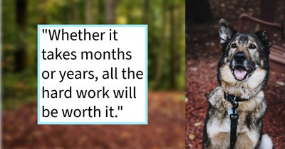 Marv the reactive rescue dog’s marvelous transformation from darn dog to perfect pupper thanks to his pawrent’s relentless support and love, dog mom says: ‘He has come so far and I feel so lucky to have found such an amazing, intelligent, and loyal dog.’