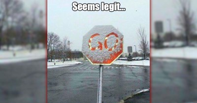 A Silly Scroll of 25 Happy Memes for a Wacky Week