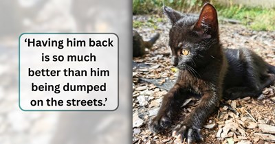 Fostering volunteer left heartbroken after a "forever home" returns a kitten only 48 hours later, venting her frustration to the online cat community: 'Everybody wants to adopt a kitten, but they don't know what they will take on.'