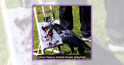 A Cursed Cawlection of 23 Crow Memes to Embrace Friday the 13th Feels