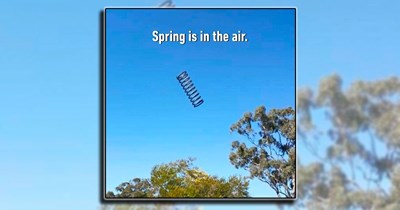 21 Fool's Spring Memes for Anyone Who Already Packed Up Their Winter Coat