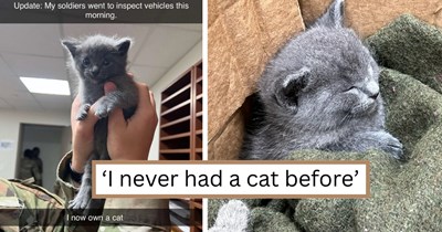 Soldier finds gray kitten in engine block, updates his animal lover wife who promptly demands he bring the baby home to add to their fluffy family: 'He turned out to be a daddy’s boy'