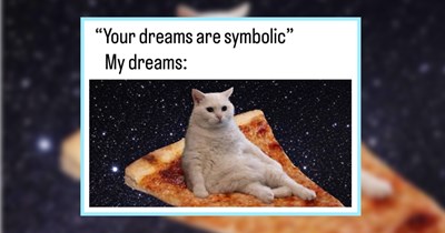Hot Pocket of 21 Hissterical Cat Memes fur your Midweek Meltdown