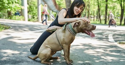 Dog mom accosted by entitled woman with unruly off-leash dogs has most hilarious tirade steeped in delicious sarcasm, Internet is obsessed: ‘LOL! Best rant ever.’