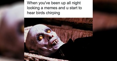 'We are living in increasingly Un-Fergalicious times': 32 Memes here to make your day a little better