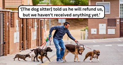 Couple pays dog sitter upfront only for him to demand extra fees the night before they fly, leading them to call off their entire trip: ‘He had three weeks to clarify pricing or expectations.’