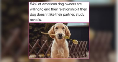 24 Derpy Boys and Girls For Dog Lovers Around the World