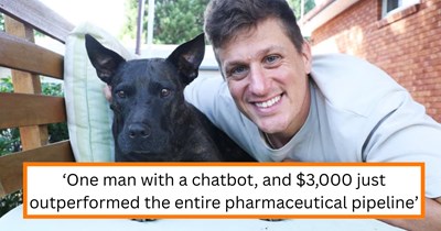Australian tech guy with zero background in biology uses ChatGPT to cure his rescue dog's terminal cancer: 'It worked!'