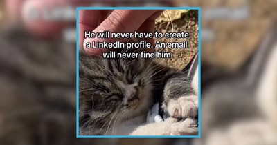 A Nostalgic Burst of Cat Memes that Bring us Back to Our Inner Child