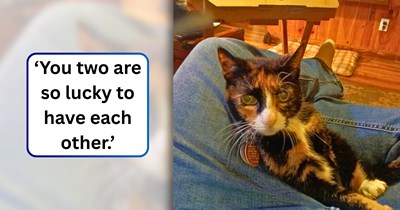 From a 10-year-old child to a 31-year-old adult, one person shares the beautiful reality of growing up alongside their cat soulmate: 'My 21-year-old best friend since childhood.'