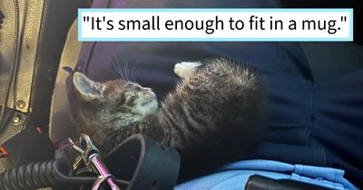 Cat loving EMT saves tiny kitten he found motionless in middle of road, and adopts the cat after a full ambulance shift of milk, bath time and cuddles, cat dad says: ‘I cannot emphasize how tiny this little thing is.’