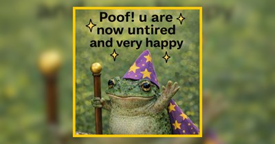 A St. Patrick's Day Party of Wild Animals to Celebrate in Style 