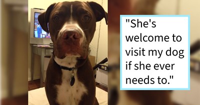 Dog who escaped grandfather’s garden in rural Texas found living with senior neighbor five months after going missing, resulting in tearful reunion and a promise to help the neighbor find: ‘A sweet dog just like mine’