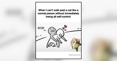 21 Purrecious Memes of Pawrents Pawsitively Pawsessed with Their Cat Children