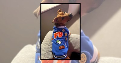 21 Dogs in Outfits That Are Low-Key Adorable