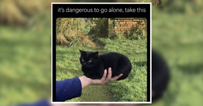 22 Purrfectly Baked Loaf Forms From Our Feline Friends 