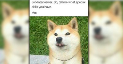 23 Sweet Doggo Delights to Welcome Spring with Smiles and Soaring Spirits