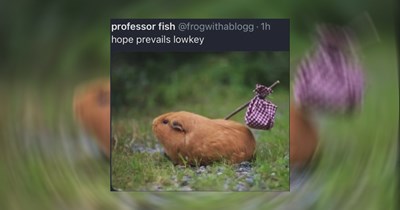 The Best Heartwarmingly Wholesome Memes and Posts of the Week