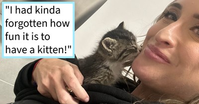 Month old kitten rescued from freeway shoulder by driver who saw it running for its life, and after approval from the vet, is brought home to be an: ‘Adorable bunny soft feral demon kitten.’