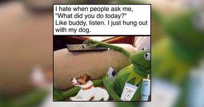 30+ Shoulder to Cry on Memes of Puppers to Smile Today