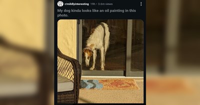 The Funniest Reddit Posts of the Week