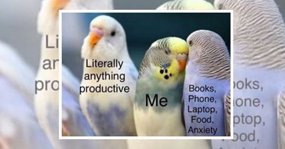 22 Memes For Workaholics Who Turn ‘Resting’ Into Another Task To Complete