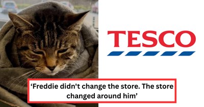 Beloved Tesco cat, Freddie, gets banned from store after Karen complains, sparking backlash when community gets 4,600 signatures demanding his return: 'They felt what was lost when he disappeared'