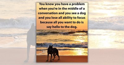 29 Posts for Pupper Pawrents Who Happily Suffer From Severe Doggo Deprivation