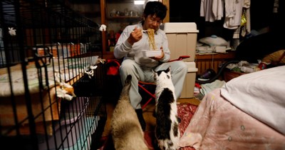 'He wanted to be there for every [cat] that still needed him': 57-year-old Japanese businessman abandons everything to care for homeless cats in an uninhabitable nuclear zone for more than 10 years