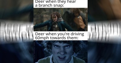Tolkien Tuesday: The Best Lord of the Rings Memes This Week