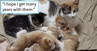 Stray kitten becomes rescuer’s soul cat after being saved from Toronto garbage dump with a surprise litter of cat babies waiting to be born, cat mom says: ‘We have bonded beyond what I ever expected and I am madly in love with all of them.’