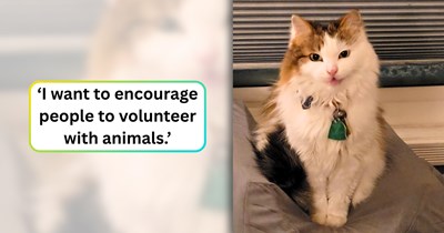 After years of helping shelter animals find homes, a dedicated volunteer explains why the shelter isn't a place of heartbreak, but of hope: 'Sadness is the last thing you feel.'