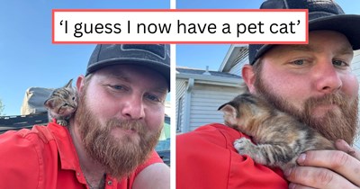 'You belong to me now, got it?': Tiny feral barn kitten leaves animal-loving farmer no choice when she wholesomely adopts him to be her new dad