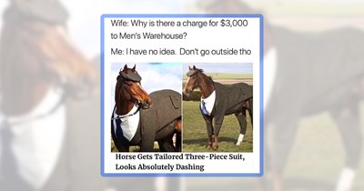 21 Hilarious Hoofed Funnies for Every Horse Lover Who Neighver Gets Enough