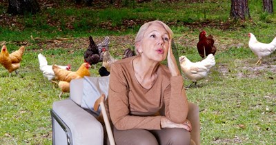 UPDATE: Homesteader confronts 70-year-old neighbor who doesn't want chickens freeroaming in her yard: 'Y'all, I'm putting up the fence'