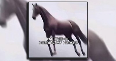23 Ready-to-Go Memes That are Done Holding On to Their Horses