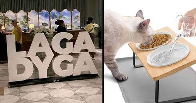 21 Hilarious Design Fails That Somehow Made It Out Into the World